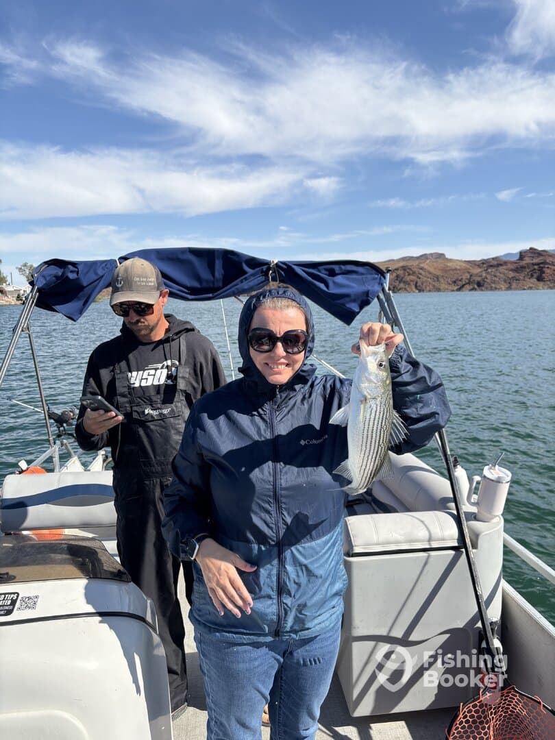 A proud angler displaying a freshly caught striped bass while fishing on a boat, with a scenic backdrop of hills and clear skies.