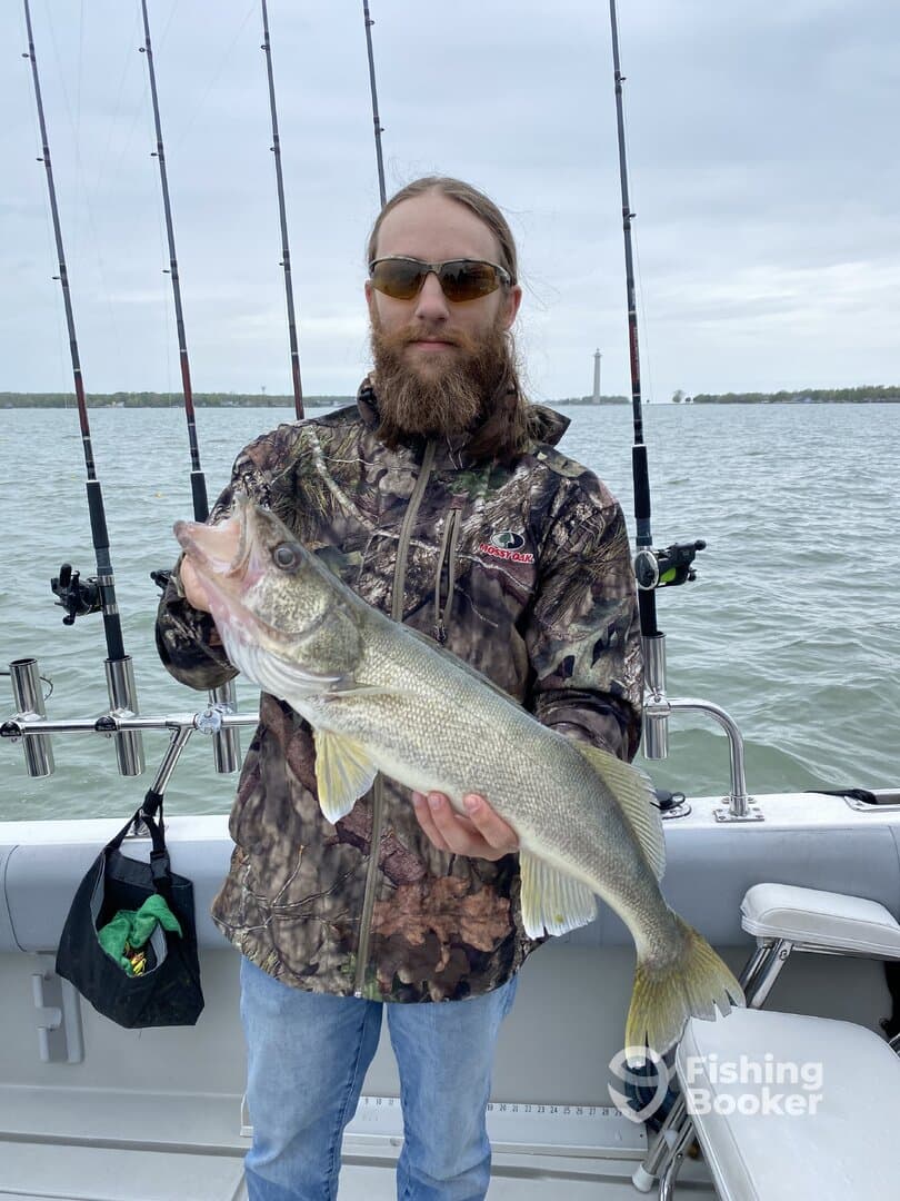 Limit in under 2 hours!!