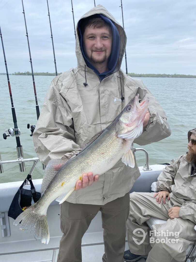 Limit in under 2 hours!!