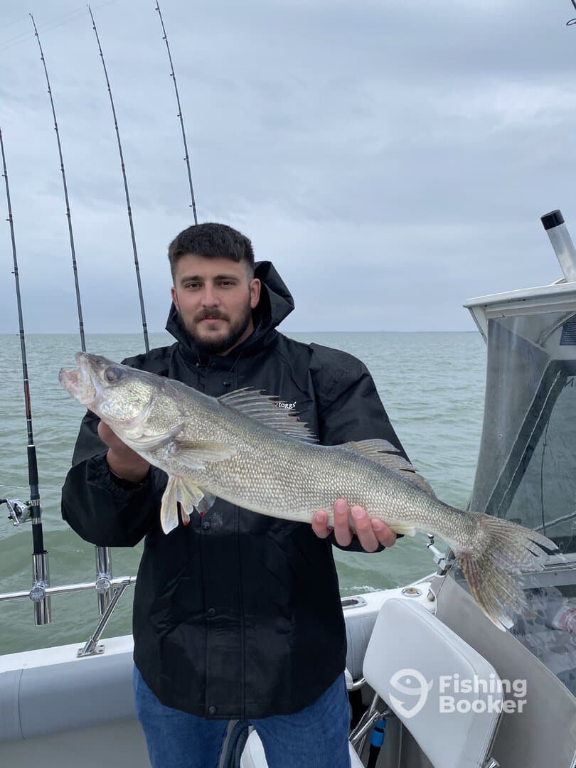 Limit in under 2 hours!!