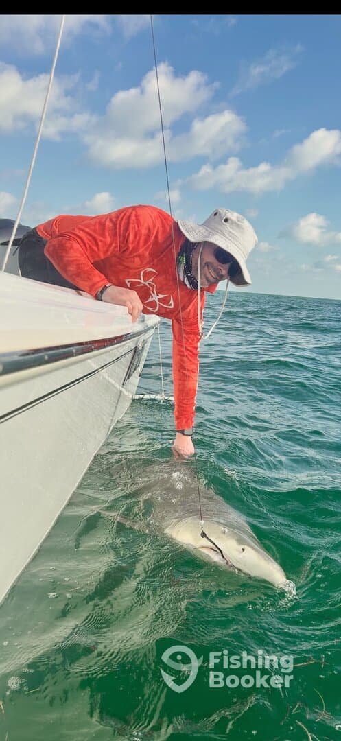 Angler actively reeling in a large shark while fishing from a boat in clear waters.