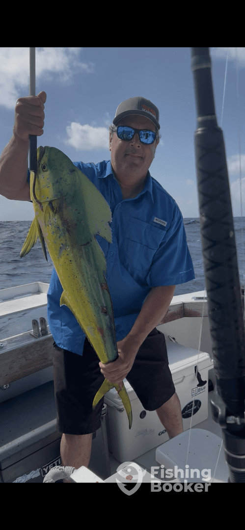 Angler proudly displaying a vibrant Mahi Mahi while fishing offshore, showcasing a successful day on the water.