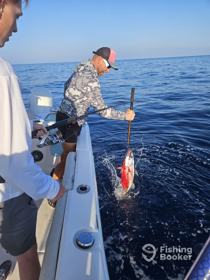 Angler reeling in a vibrant Red Snapper while fishing offshore, showcasing an exciting moment on the water.