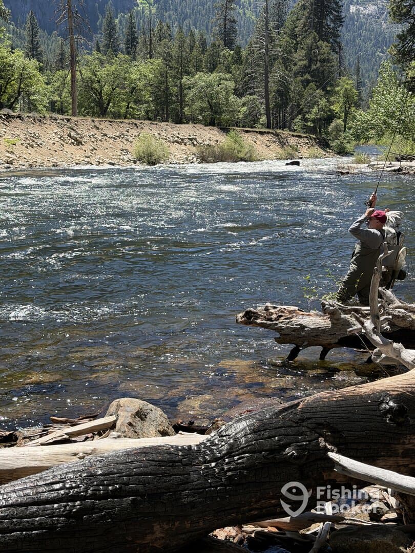An angler casting a line into a scenic river surrounded by lush greenery, showcasing a peaceful fishing environment.
