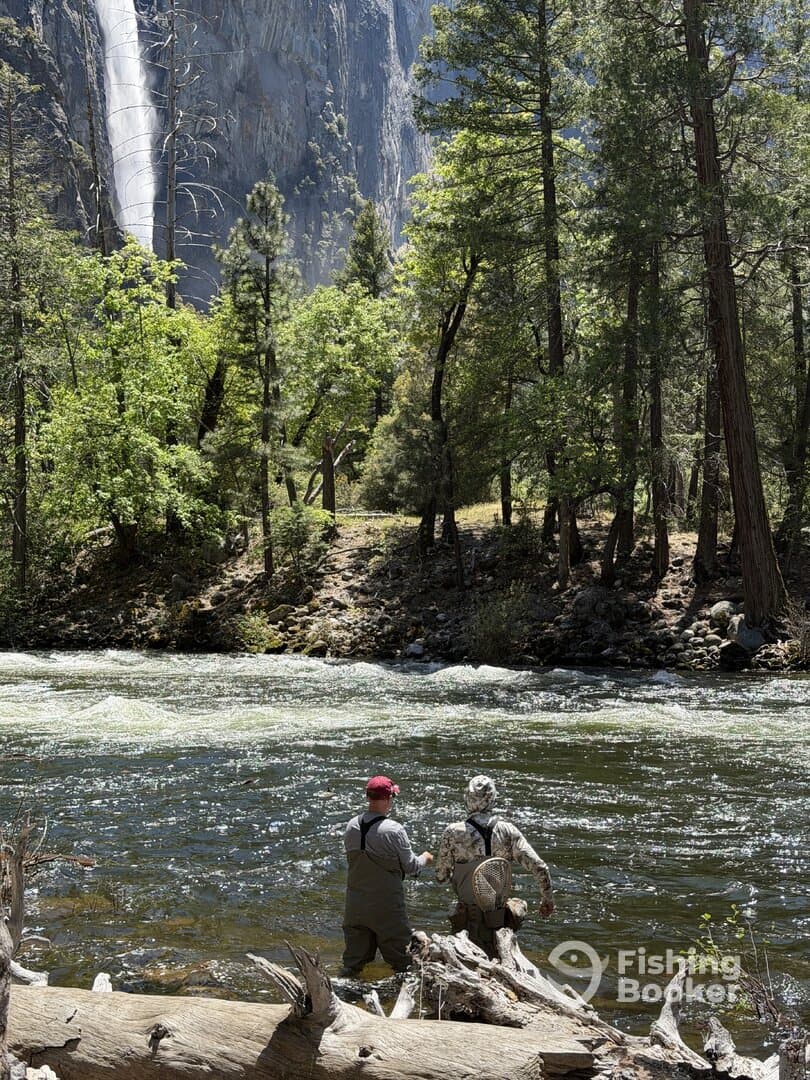 Two anglers fishing in a scenic river setting near a waterfall, surrounded by lush greenery.