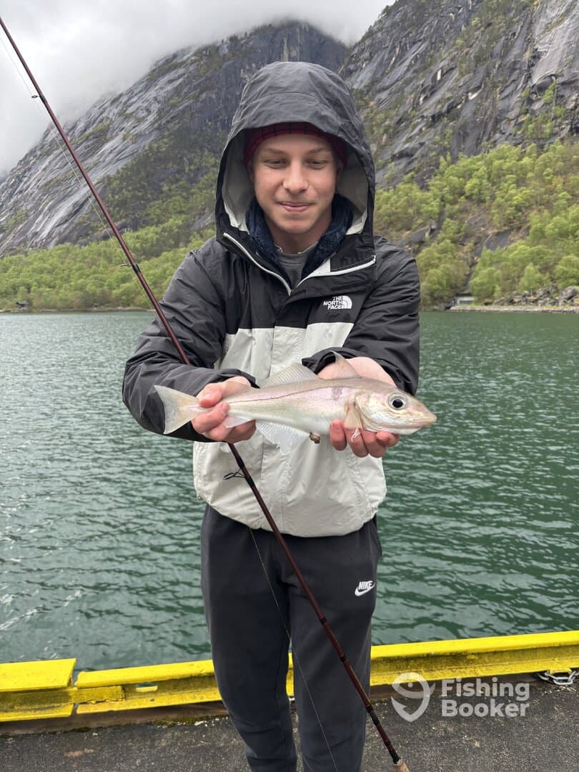 Young angler proudly displaying a freshly caught fish while fishing in a scenic fjord environment.