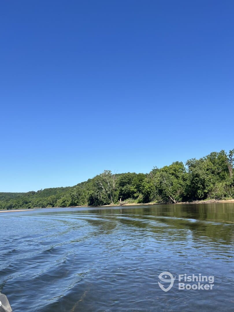 A scenic view of a river with lush greenery along the banks, captured from the side of a boat on a clear day.