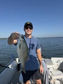 Angler proudly displaying a striped bass while fishing on a sunny day.