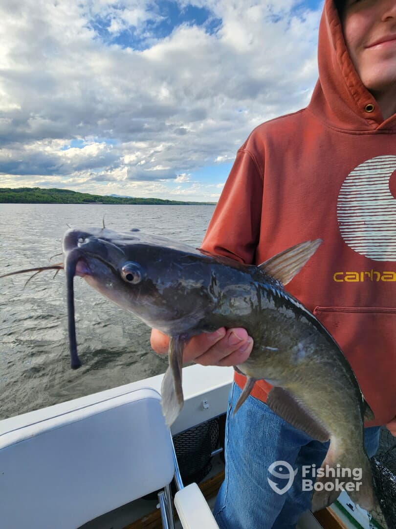 A young angler proudly displaying a Catfish while fishing on a scenic lake, showcasing a beautiful day on the water.