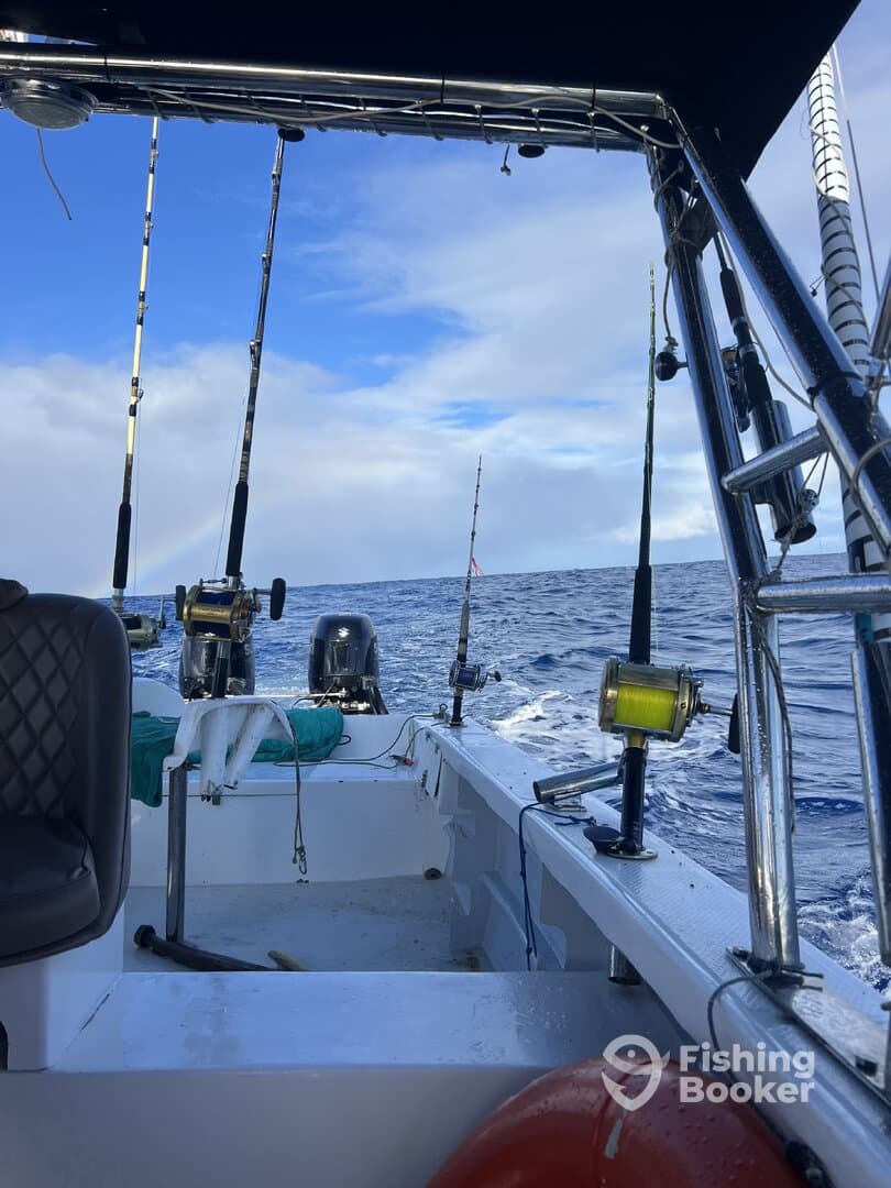 Interior view of a fishing boat showcasing the helm and seating area, with fishing rods ready for action against a backdrop of open water.
