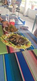 A table setting featuring a plate of grilled fish and a side dish, showcasing a vibrant dining atmosphere.
