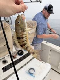 Angler reeling in a colorful fish while fishing on a boat, showcasing the excitement of the catch.