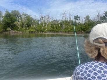 An angler casting a line while fishing in a serene mangrove environment, showcasing the peacefulness of the fishing experience.