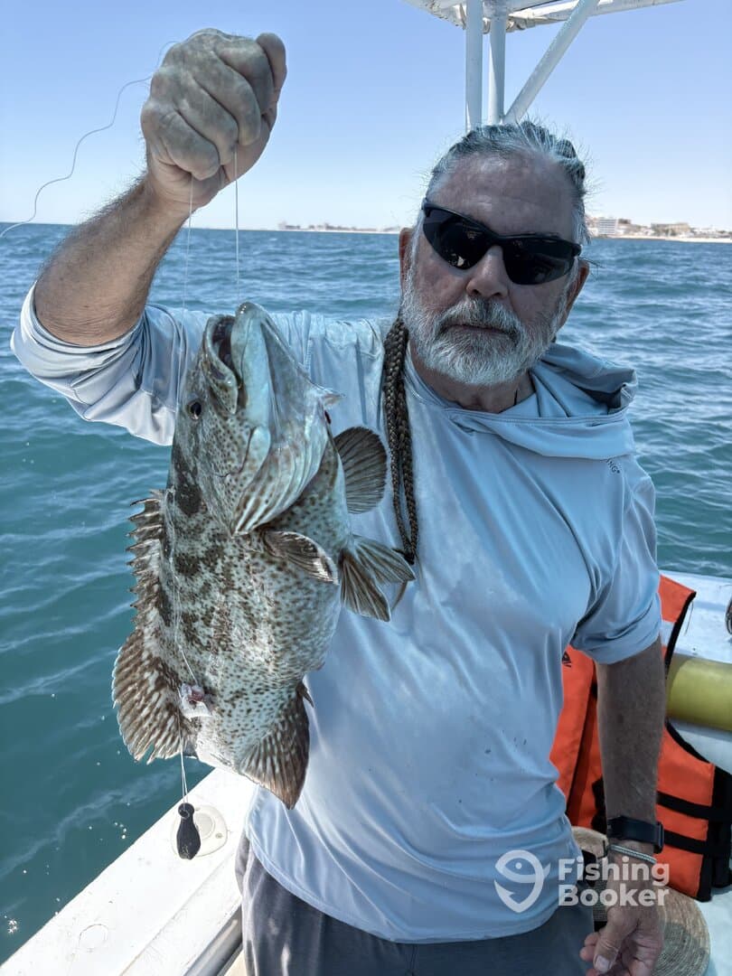 An angler proudly displaying a large Grouper caught while fishing offshore, showcasing the excitement of a successful day on the water.