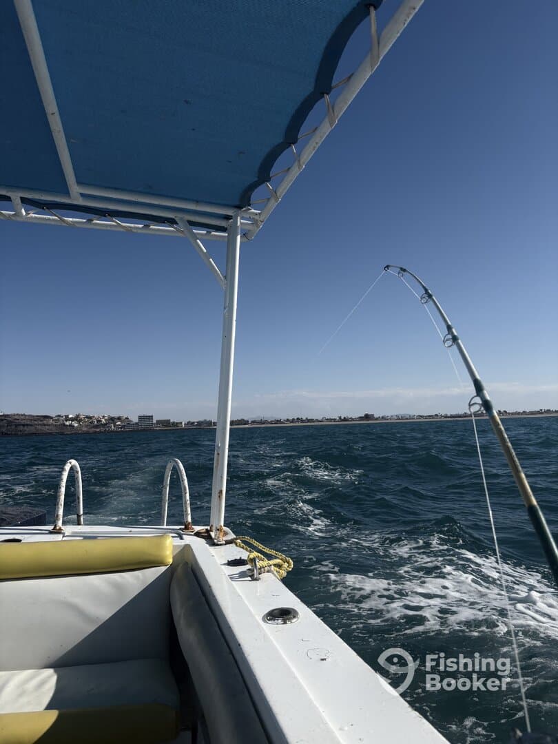 A fishing boat in motion with a rod bent, indicating a fish is on the line, showcasing an exciting fishing experience.