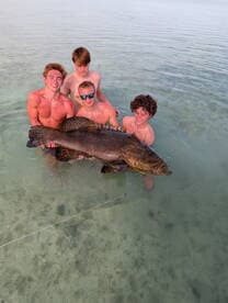 Four young anglers proudly displaying a large grouper while wading in shallow water, showcasing a successful fishing trip.