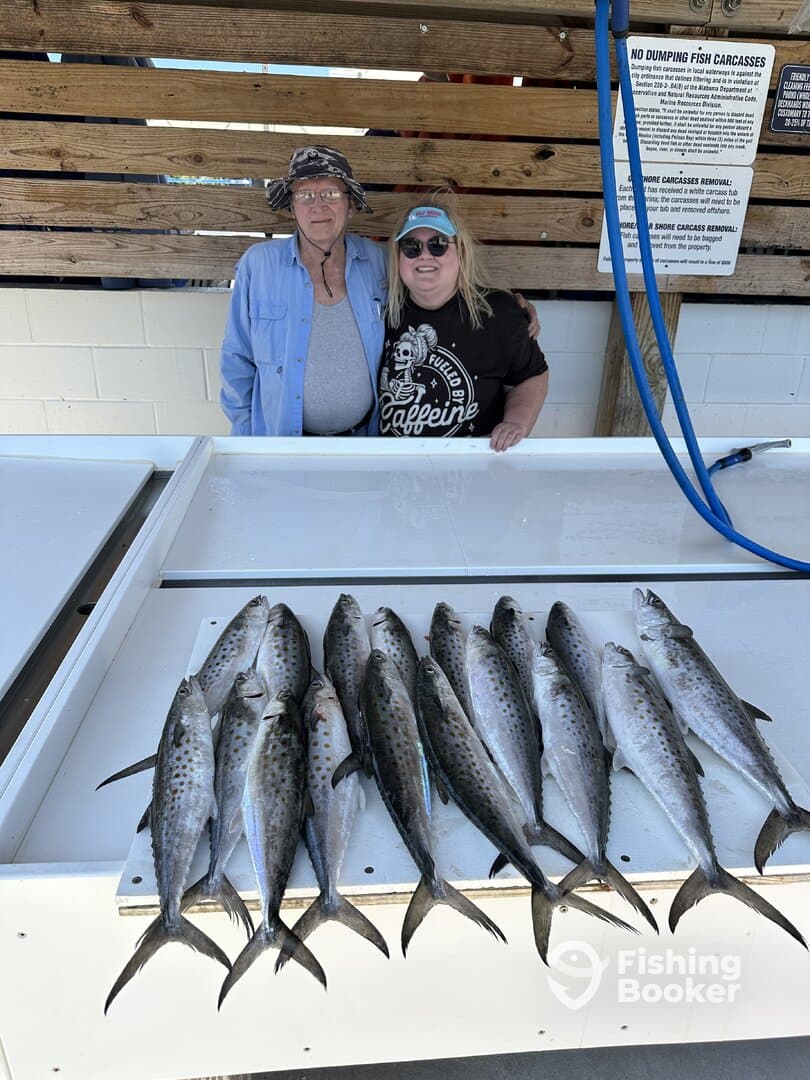 A group of anglers proudly displaying their catch of Spanish Mackerel arranged neatly on a board at the dock.