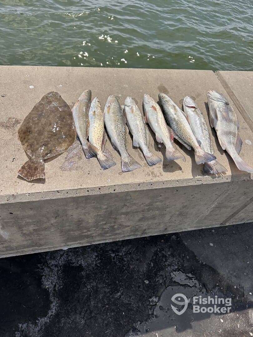awesome day on the water