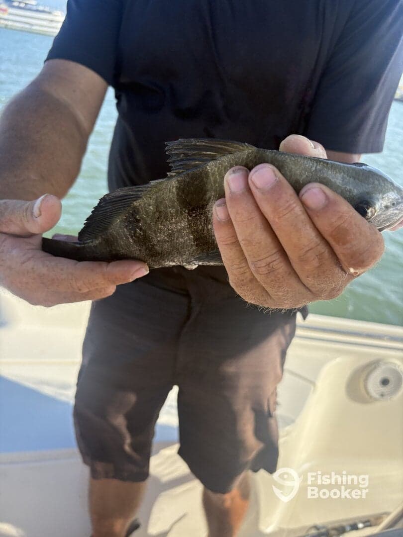 Angler proudly displaying a freshly caught fish while on a boat, showcasing a successful fishing trip.
