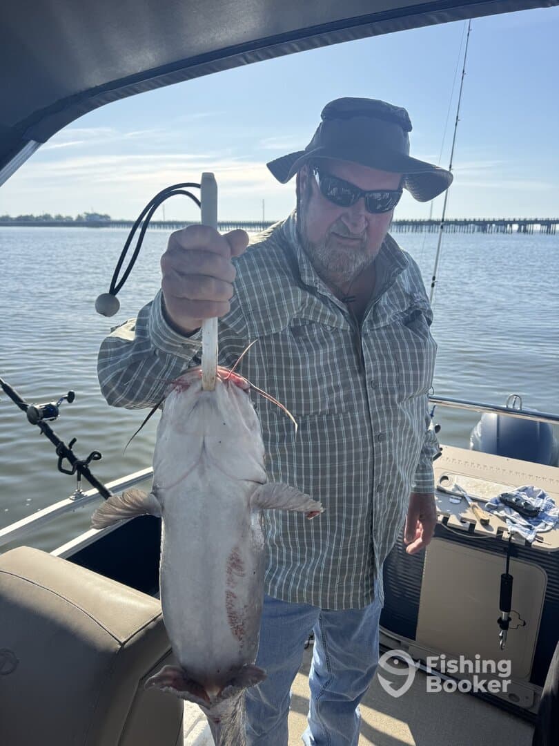 An angler proudly displaying a large catfish while fishing from a boat, showcasing a successful day on the water.