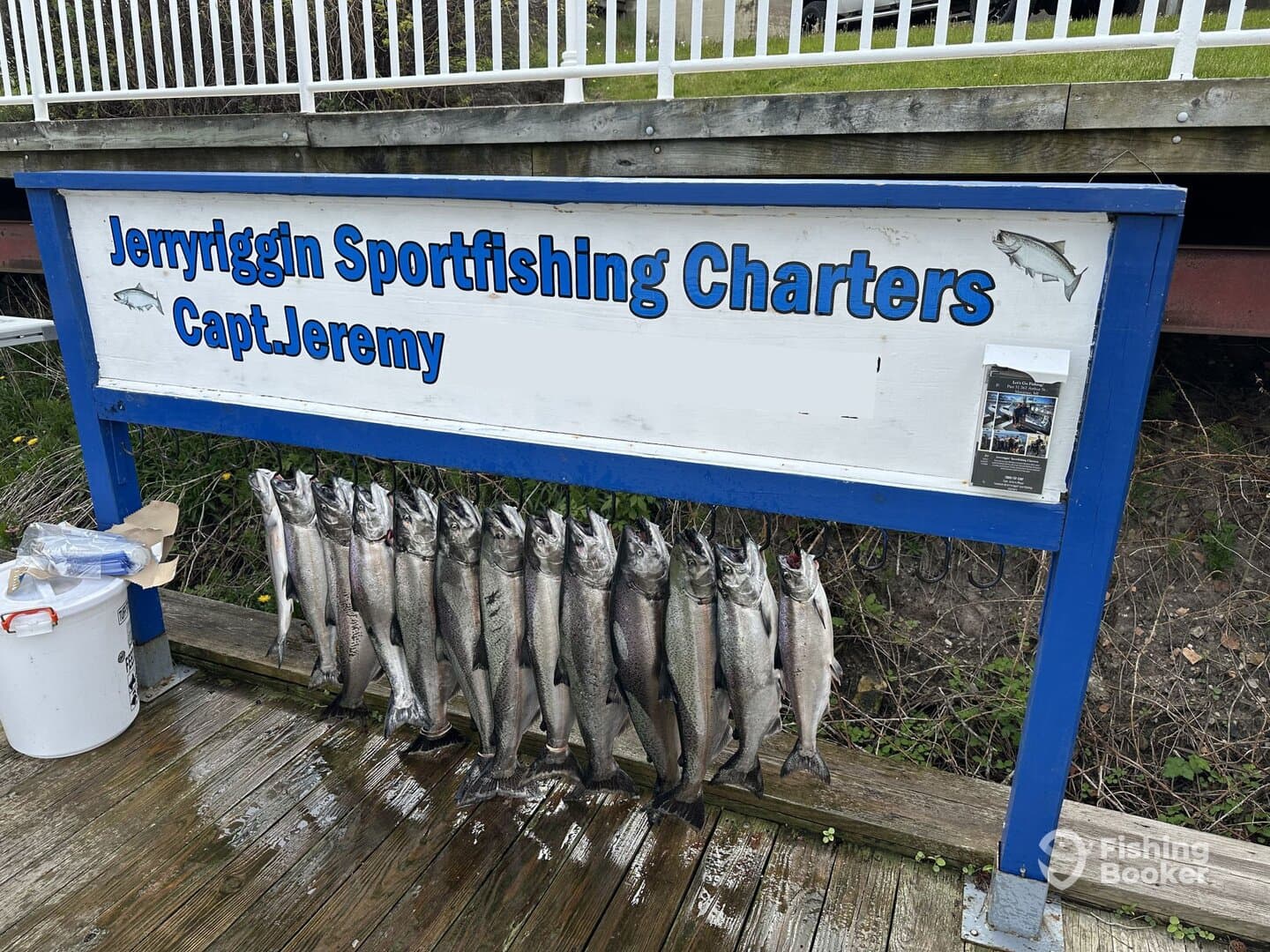 A display of freshly caught fish, likely trout, arranged on a board at Jerryriggin Sportfishing Charters, showcasing a successful fishing trip.