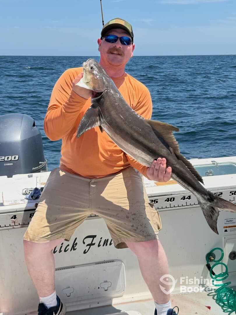 BIG FIN FISHING