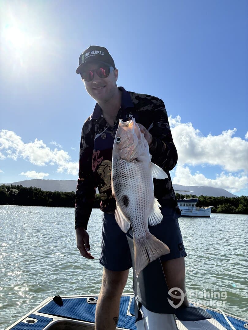 Angler proudly displaying a large Snapper while fishing on a sunny day in a coastal waterway.