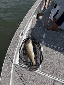 A Redfish is resting in a net on the deck of a modern fishing boat, with anglers enjoying a day on the water.
