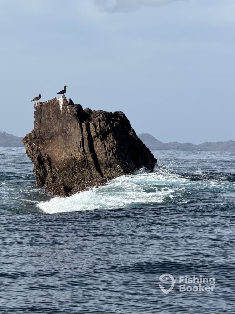 A scenic view of a rocky outcrop in the ocean with birds perched on top, showcasing the natural beauty of the fishing environment.
