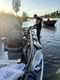 A young angler sits on a boat while an adult prepares multiple fish for cleaning after a successful fishing trip.