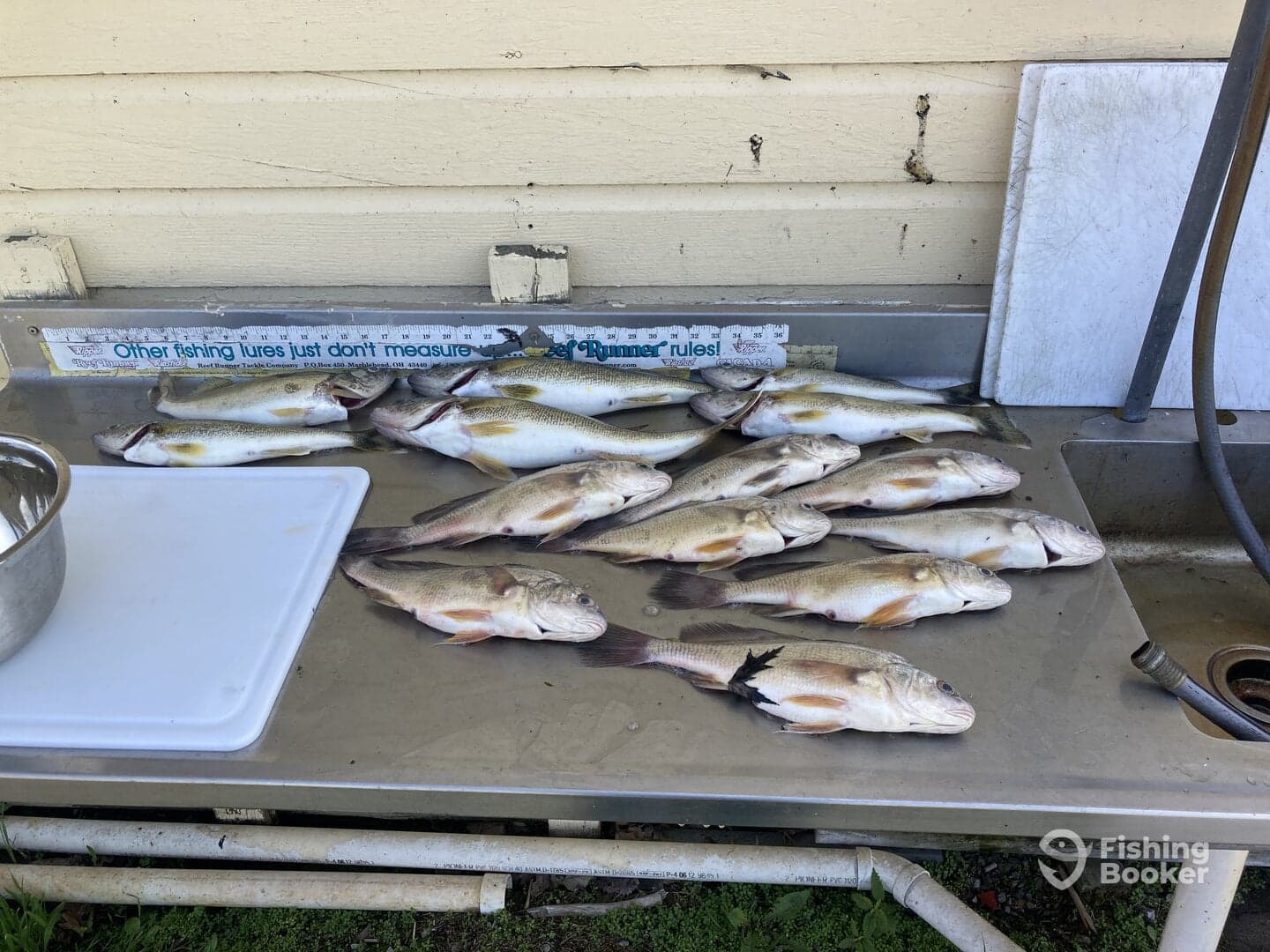 Great day on the water!