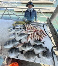 A proud angler stands beside a bountiful catch of various fish, including snapper and triggerfish, displayed on a cleaning table at the dock.