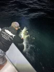 An angler reeling in a large fish at night, showcasing the excitement of fishing under the stars.