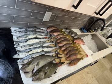 A variety of fish including Snapper and Mackerel displayed on a cleaning table, showcasing a successful fishing trip.