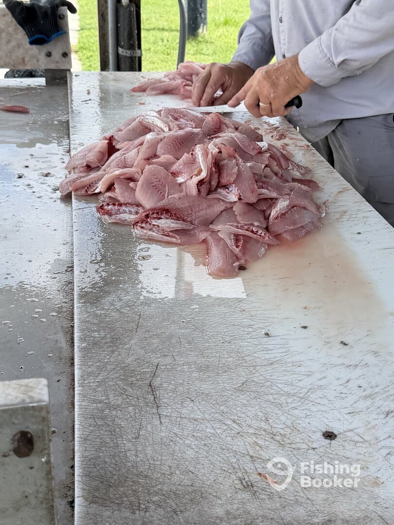 A pile of freshly filleted fish on a cleaning table, showcasing the catch from a recent fishing trip.
