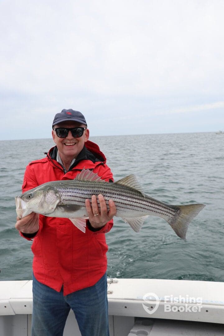 Angler proudly displaying a large Striped Bass while fishing on a boat.