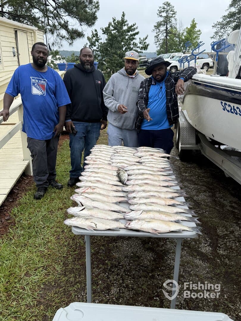 A group of four anglers proudly displaying their catch of numerous fish on a table after a successful fishing trip.