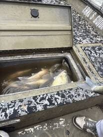 Fish stored in a cooler on a fishing boat, showcasing a successful catch from a recent trip.