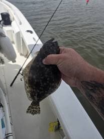 Angler proudly holding a Flounder while fishing on a boat, showcasing a successful catch.