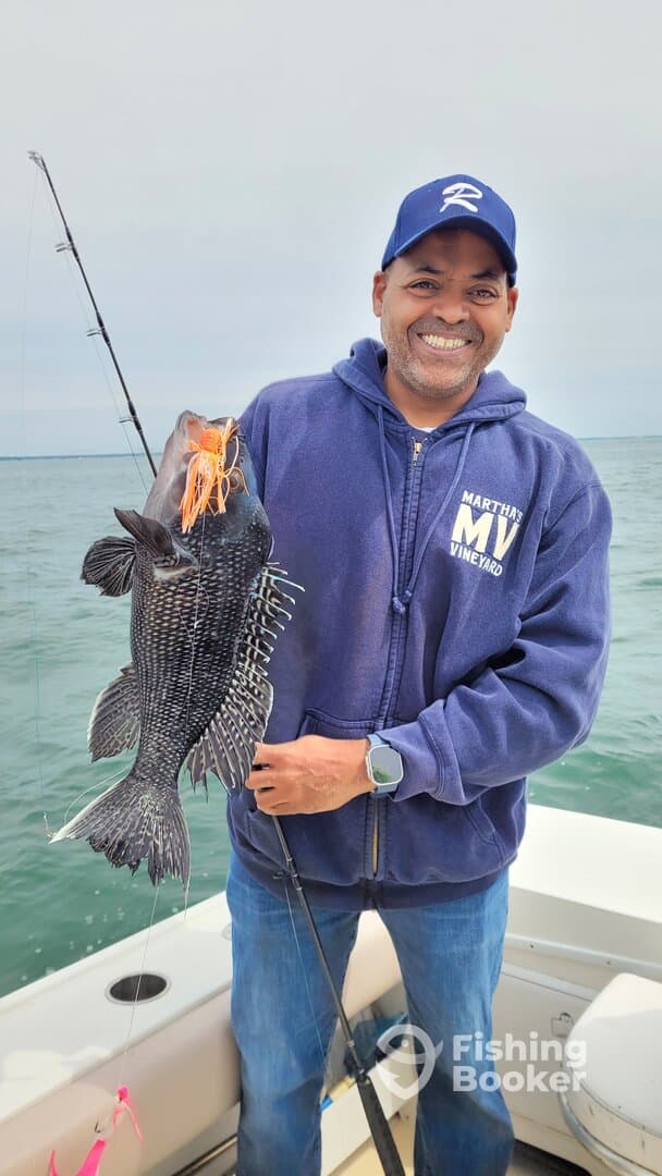 Angler proudly displaying a large Black Sea Bass while fishing from a boat, showcasing a successful catch in a scenic marine environment.