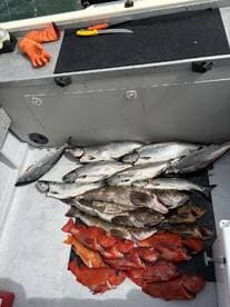 A variety of fish including red snapper and cod laid out on a fillet table aboard a fishing boat, showcasing a successful catch.