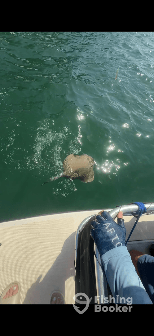 An angler is actively reeling in a stingray while fishing from a boat, showcasing the excitement of the catch in clear waters.