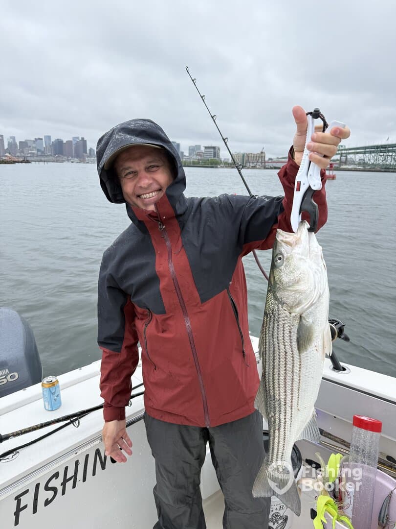 Angler proudly displaying a large Striped Bass while fishing in a cityscape backdrop, showcasing a successful outing despite the overcast weather.