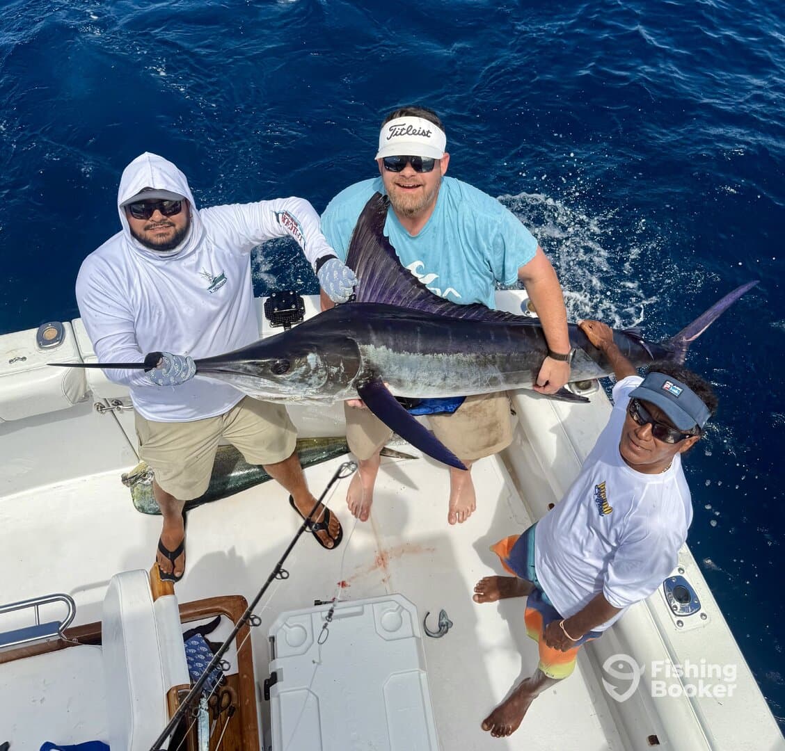 Three anglers proudly displaying a large Marlin on a sportfishing boat, showcasing their successful catch in deep blue waters.