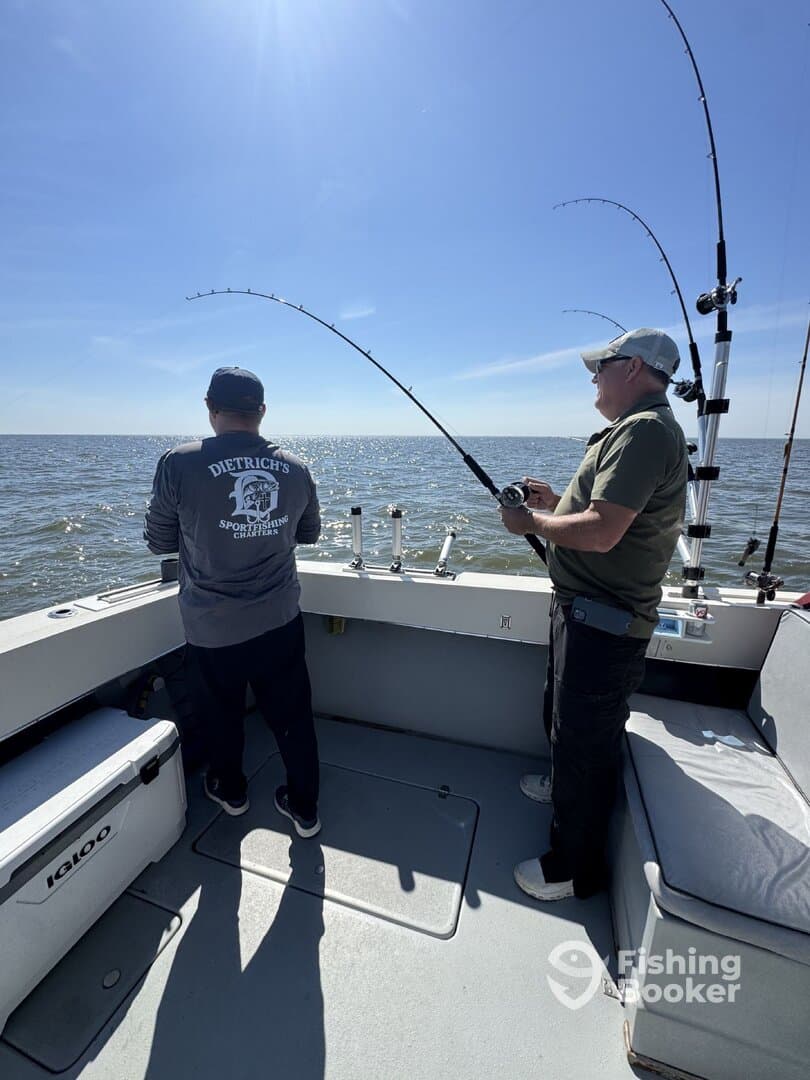 Two anglers actively fishing on a charter boat, with rods bent as they reel in their catches on a sunny day.