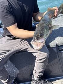 Angler proudly displaying a large Walleye while fishing on a boat.