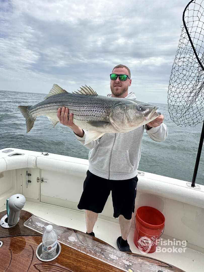 Angler proudly displaying a large Striped Bass while fishing on a boat, showcasing a successful day on the water.
