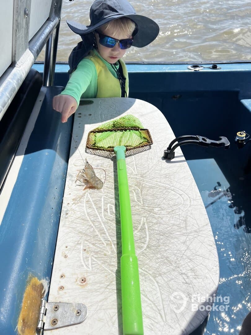 A young angler on a boat is reaching for a small shrimp with a net, showcasing an engaging fishing experience.