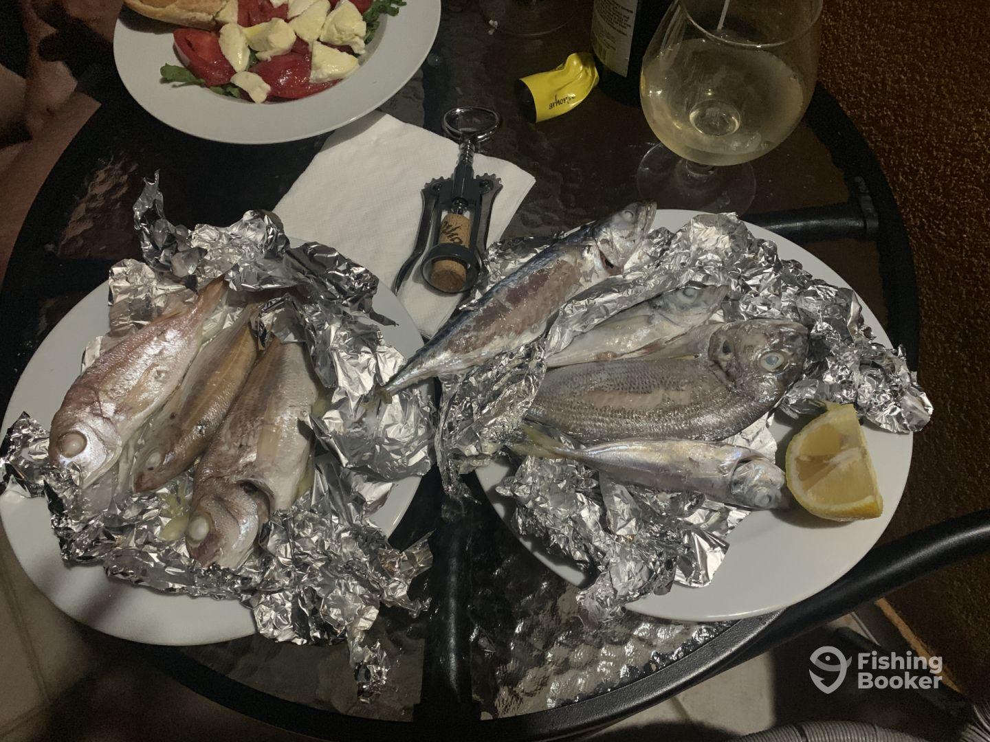 A variety of freshly caught fish displayed on plates, wrapped in foil, accompanied by a lemon slice, showcasing a delightful seafood meal.