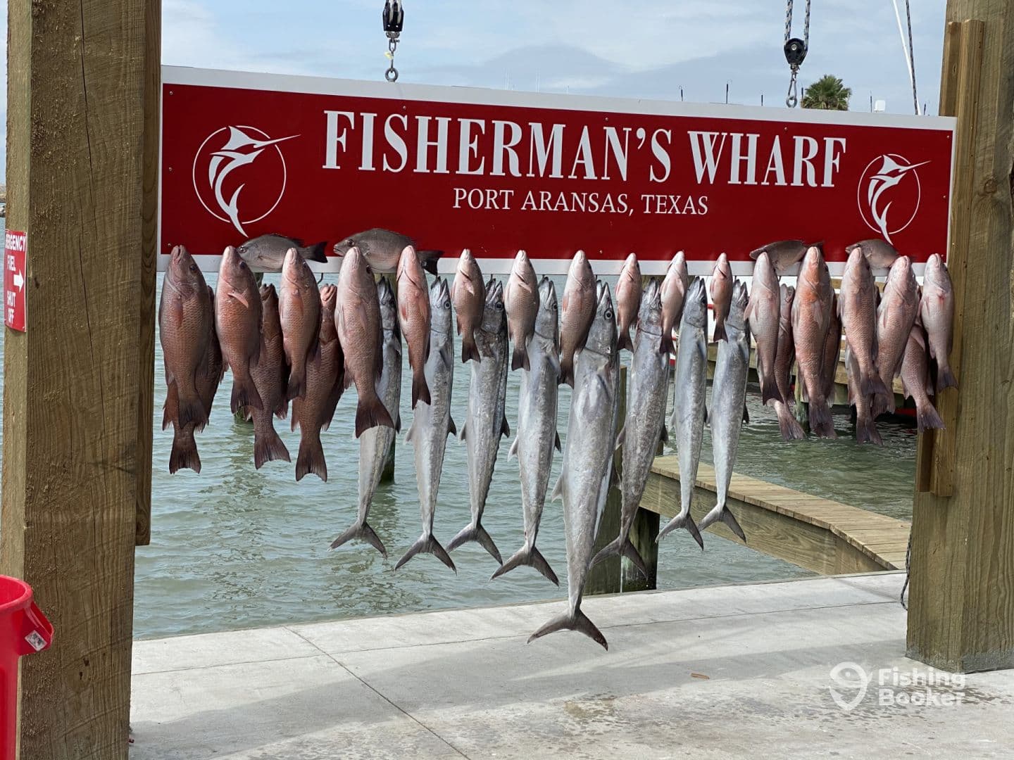 A display of various fish, including Snapper and Mackerel, arranged on a board at Fisherman's Wharf in Port Aransas, Texas.